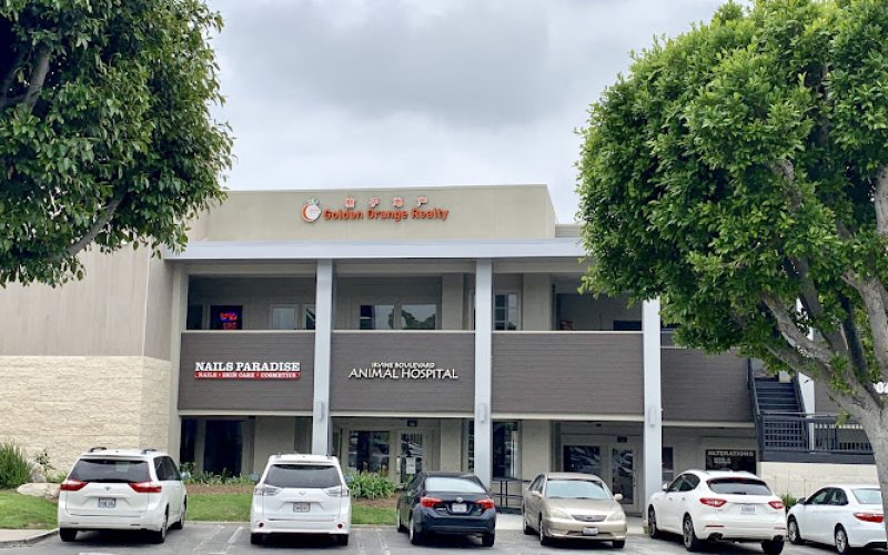 Gold Orange Realty